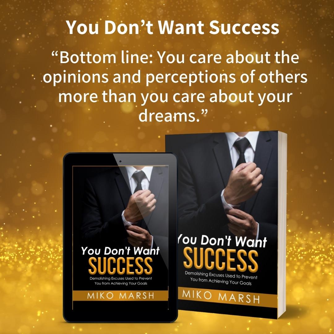 You Don't Want Success